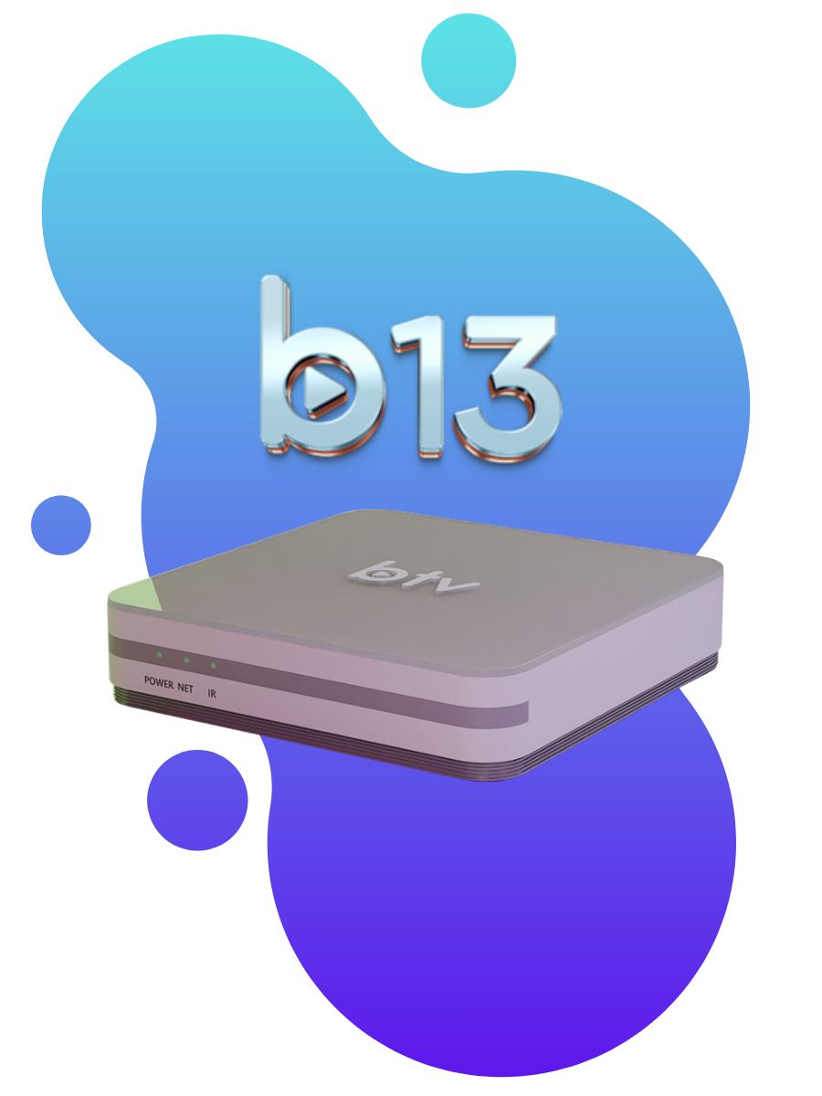 BTV B13